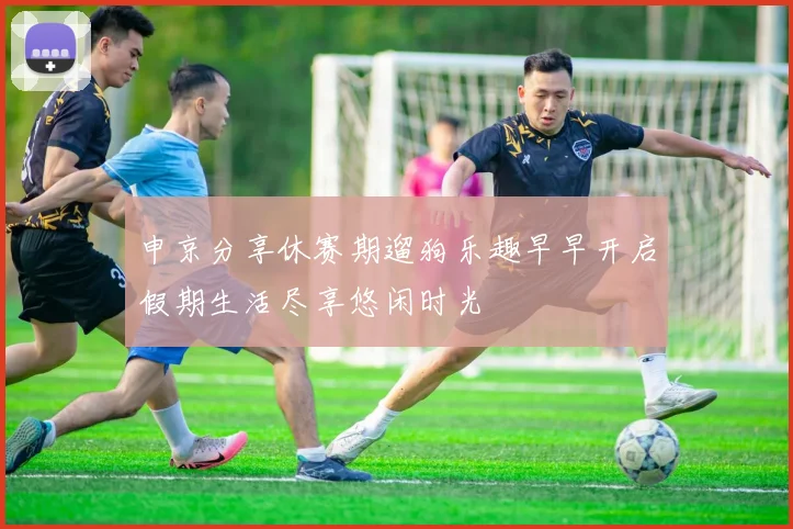 申京分享休赛期遛狗乐趣早早开启假期生活尽享悠闲时光
